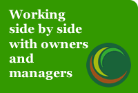 Accountancy advice -  Working side by side with owners and managers